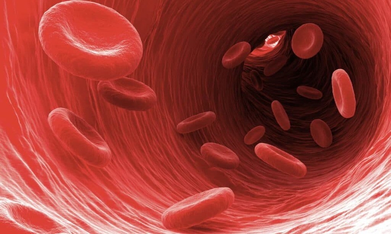 Hướng dẫn cách đo oxy bằng Apple Watch và một số vấn đề cần lưu ý 1