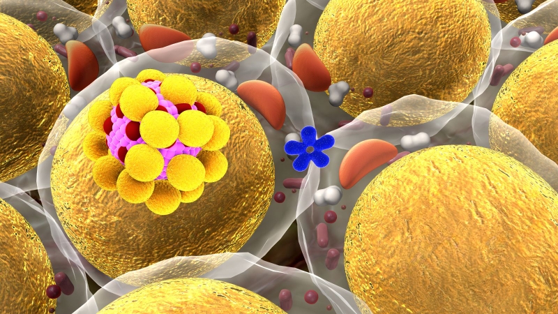 Hướng dẫn cách đọc chỉ số mỡ máu chính xác nhất 1