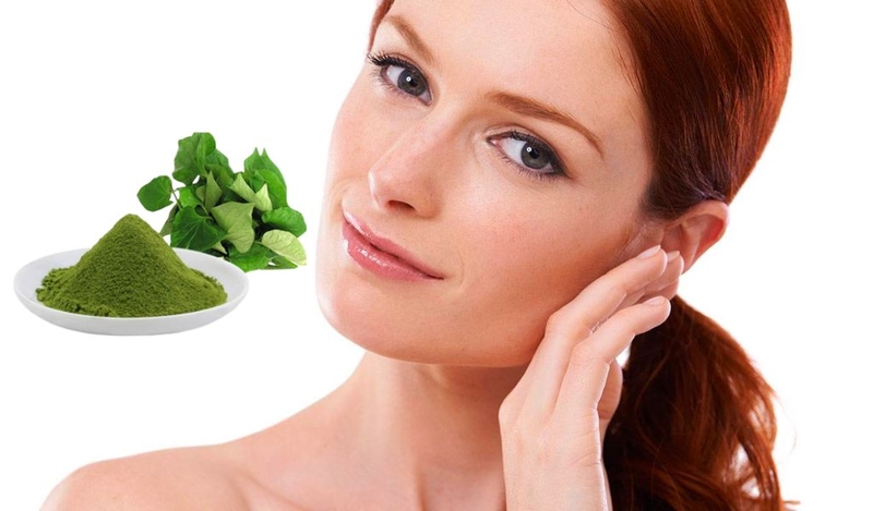 Hướng dẫn cách làm bột diếp cá đơn giản tại nhà 1