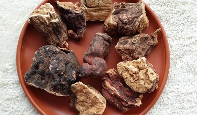 Hà thủ ô là vị thuốc tự nhiên có nhiều tác dụng chăm sóc tóc