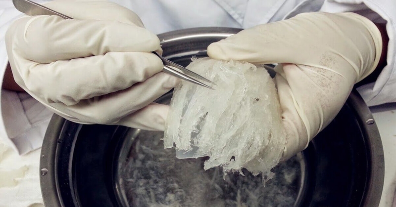 Cách nhặt lông yến đơn giản tại nhà