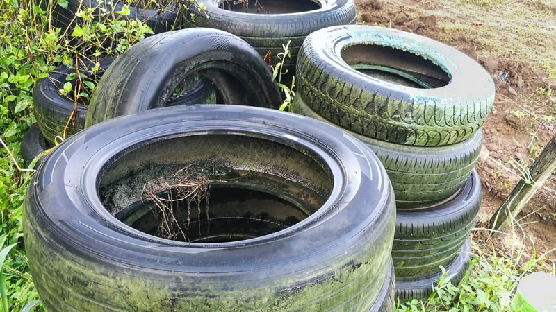 Hướng dẫn cách phòng chống sốt xuất huyết cho trẻ không phải ai cũng biết 3