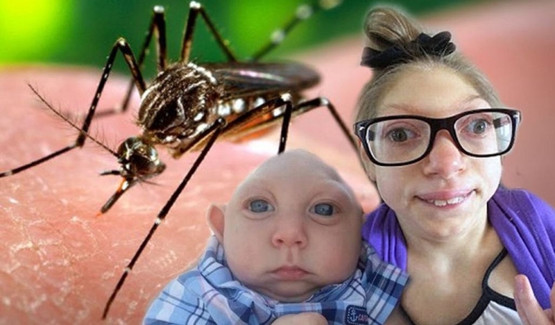 Hướng dẫn cách phòng chống virus Zika an toàn và hiệu quả 1