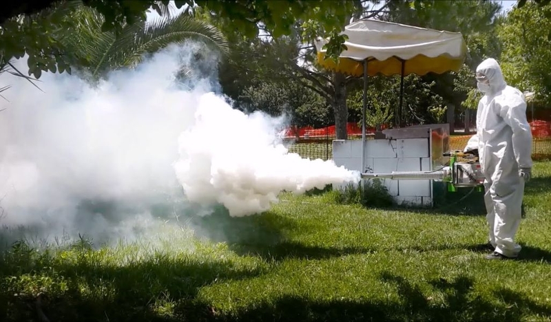 Hướng dẫn cách phòng chống virus Zika an toàn và hiệu quả 2