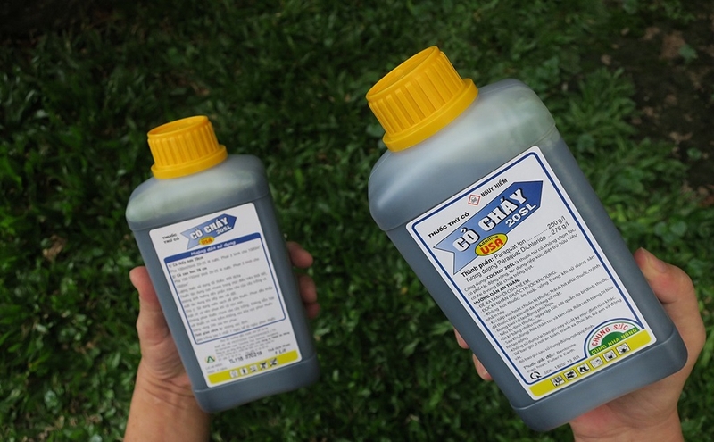 Hướng dẫn cách sơ cứu người uống thuốc diệt cỏ Paraquat 1