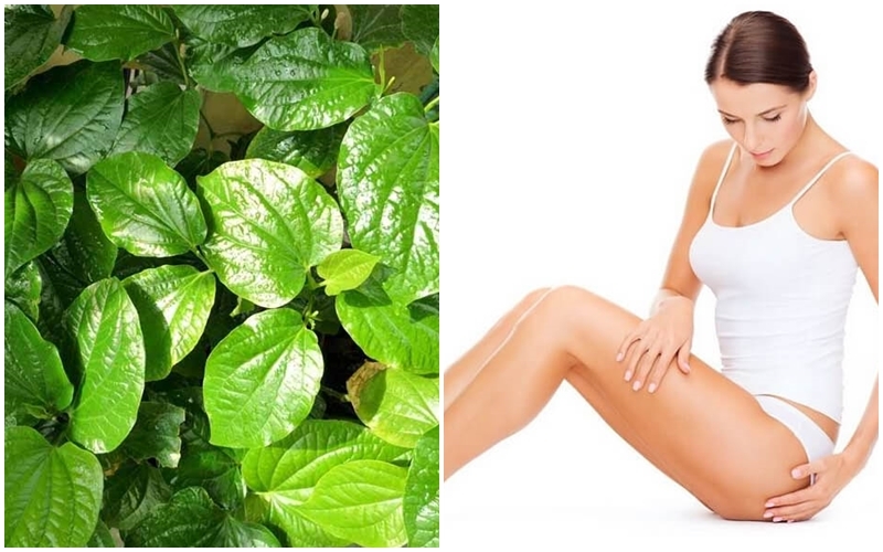 Cách tẩy lông bằng lá trầu không đơn giản tại nhà