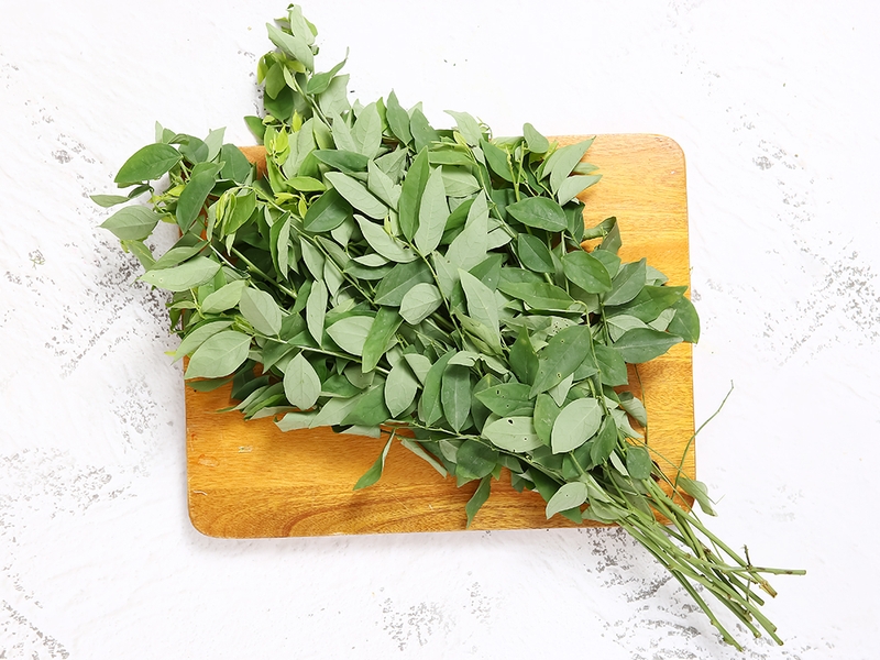 Rau ngót là loại thực vật phổ biến thường xuất hiện trong mỗi bữa ăn của gia đình