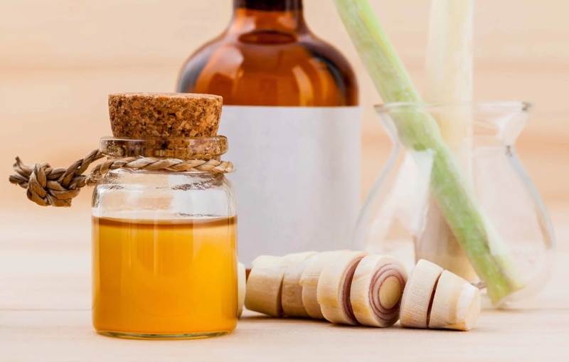 Hướng dẫn chưng cất tinh dầu sả chi tiết, dễ làm 4