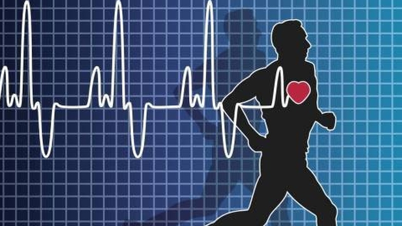 Hướng dẫn đo nhịp tim trên iPhone để theo dõi sức khỏe hàng ngày 3