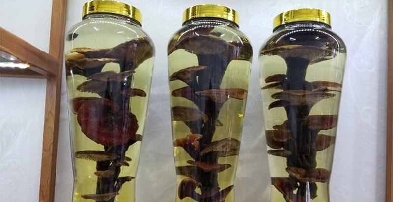 Hướng dẫn cách dùng nấm lim xanh ngâm rượu.