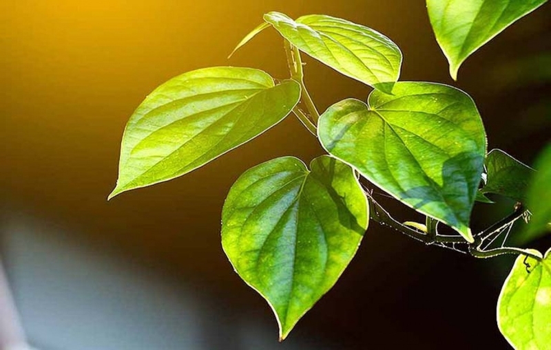 Hướng dẫn vệ sinh vùng kín cho bé gái theo từng độ tuổi 4