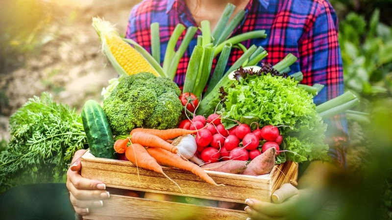 Hút mỡ nách và những điều cần biết về phương pháp này 3