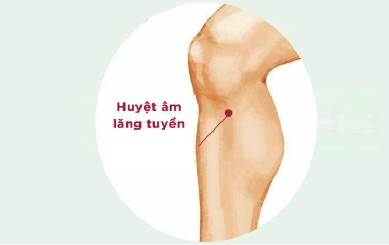 Huyệt Âm Lăng Huyền là gì