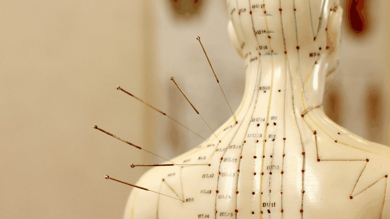 huyet-an-bach-chua-benh-gi-ban-da-biet 1.png