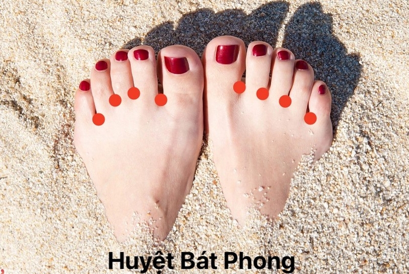 Huyệt Bát Phong – vị trí, ý nghĩa tên gọi và tác dụng hỗ trợ điều trị bệnh1