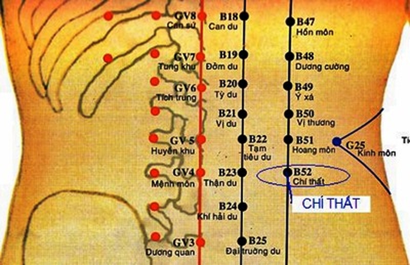 Huyệt Chí Thất - “Xóa tan” nỗi lo yếu sinh lý ở phái mạnh! 1