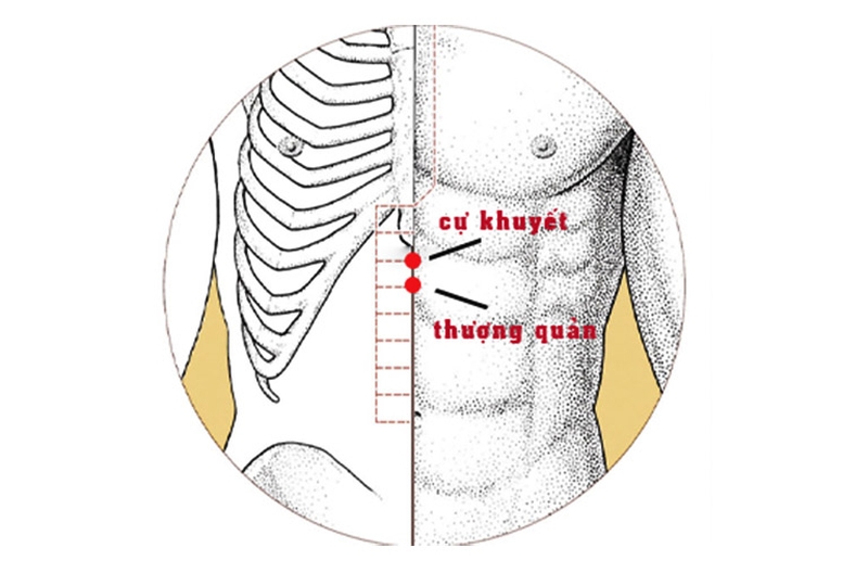 Huyệt Cự Khuyết: Vị trí, vai trò và cách bấm huyệt chính xác  1
