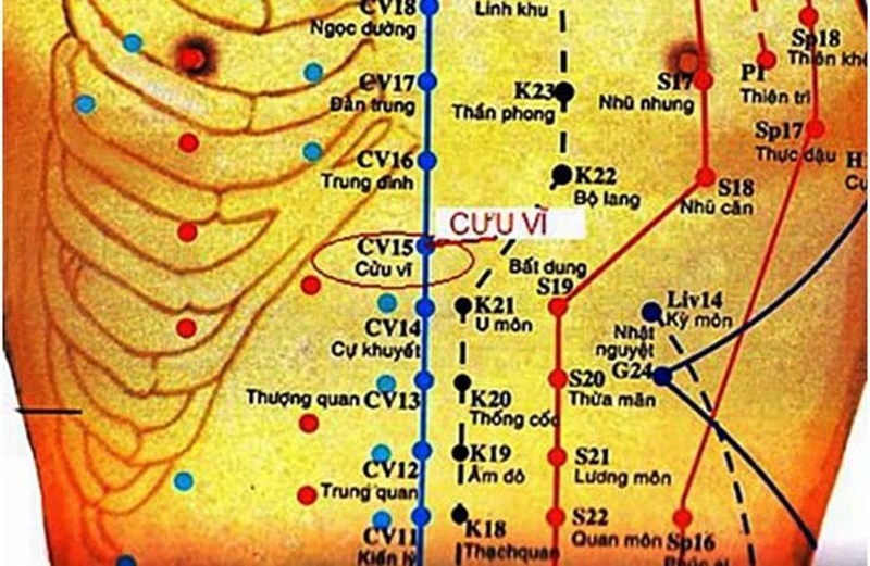 Huyệt Cưu Vĩ: Vị trí ở đâu, có tác dụng gì? 1