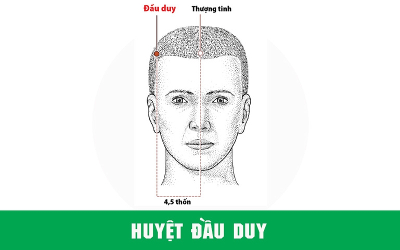 Huyệt Đầu Duy