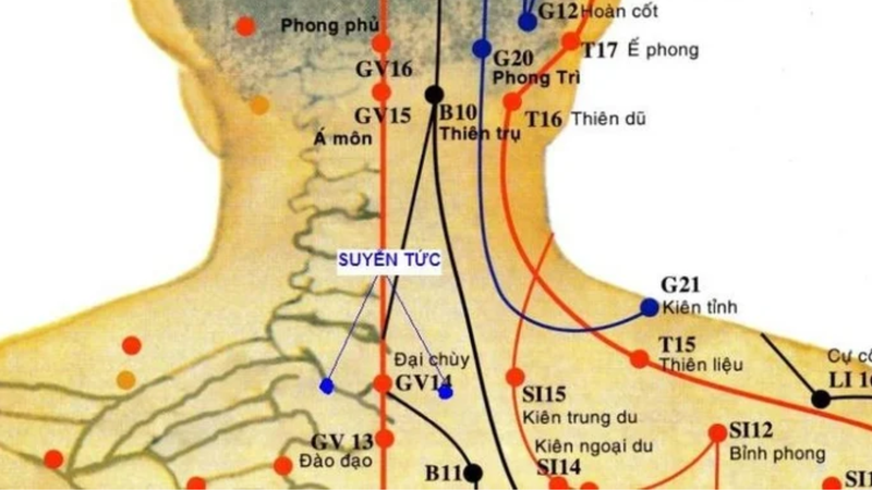 Huyệt Định Suyễn: Vị trí, tác dụng và cách bấm huyệt 1