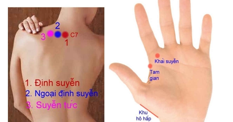 Huyệt Định Suyễn: Vị trí, tác dụng và cách bấm huyệt 1