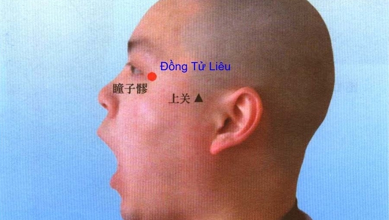 Huyệt Đồng Tử Liêu ở đâu? Cách xác định vị trí huyệt Đồng Tử Liêu 3