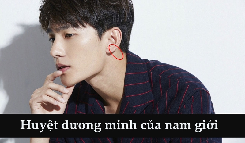 Huyệt Dương minh là gì? Nằm ở vị trí nào trên cơ thể? 3