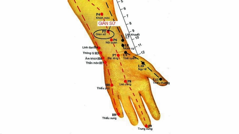 Huyệt Giản Sử là gì? Một số lưu ý trong bấm huyệt bạn cần biết 2