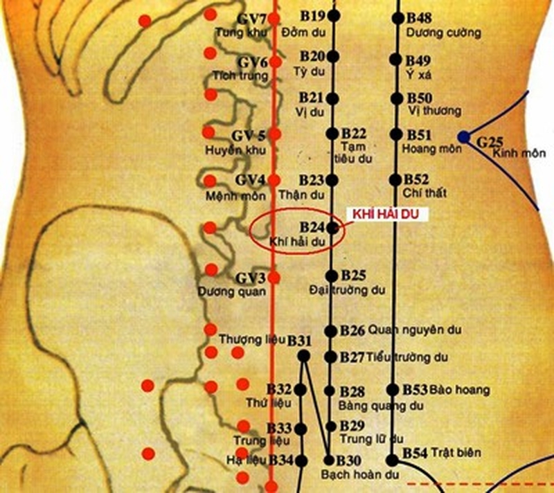 Huyệt Khí Hải Du: Vị trí, vai trò và cách châm cứu, bấm huyệt 1