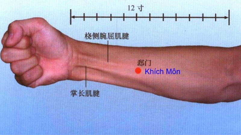 Huyệt Khích Môn là gì? Vị trí, tác dụng và cách châm cứu 1