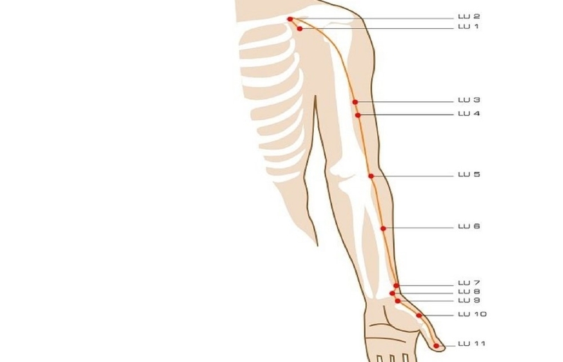 Huyệt Khổng Tối là gì? Cách xác định vị trí huyệt Khổng Tối 3