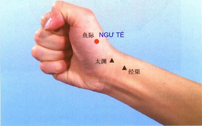 Huyệt Ngư Tế nằm ở đâu trên cơ thể?