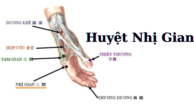 Huyệt Nhị Gian: Vị trí, cách xác định và tác dụng đối với sức khỏe 2