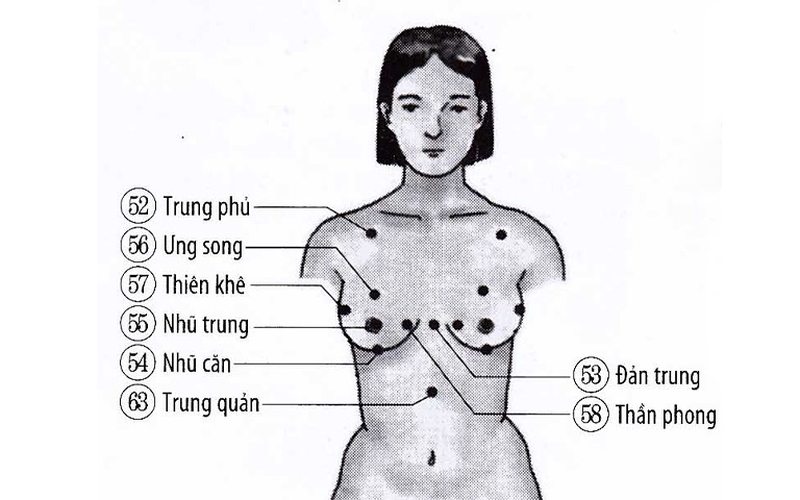 Huyệt nhũ căn là 1 trong 36 huyệt vị quan trọng nhất trên cơ thể
