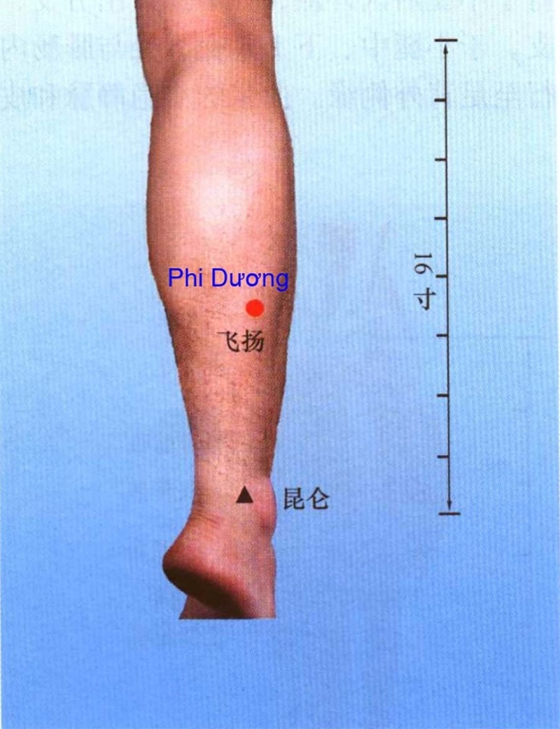 Huyệt phi dương công dụng đối với sức khỏe con người - 1