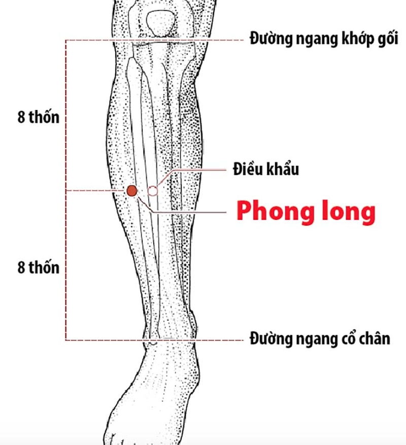 Huyệt Phong Long là gì