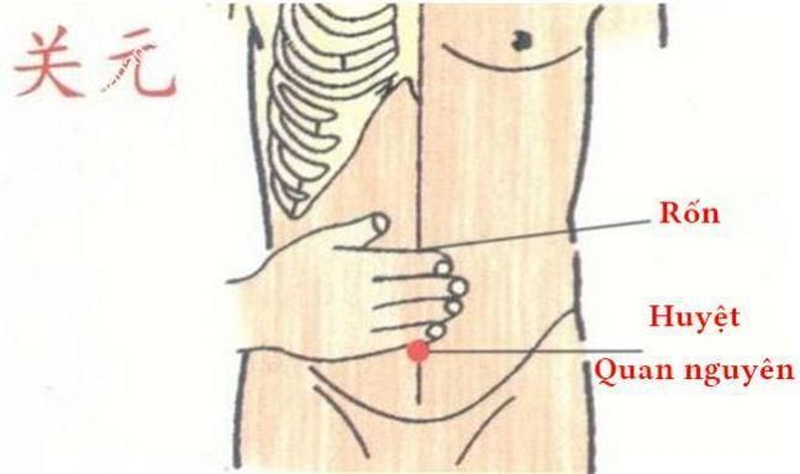 Huyệt quan nguyên - Huyệt đạo mở ra “cánh cửa” sức khỏe sung mãn! 1
