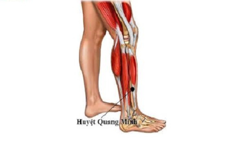 Huyệt Quang Minh là huyệt gì? Vị trí và tác dụng của huyệt 1