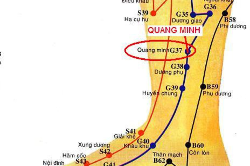 Huyệt Quang Minh là huyệt gì? Vị trí và tác dụng của huyệt 2