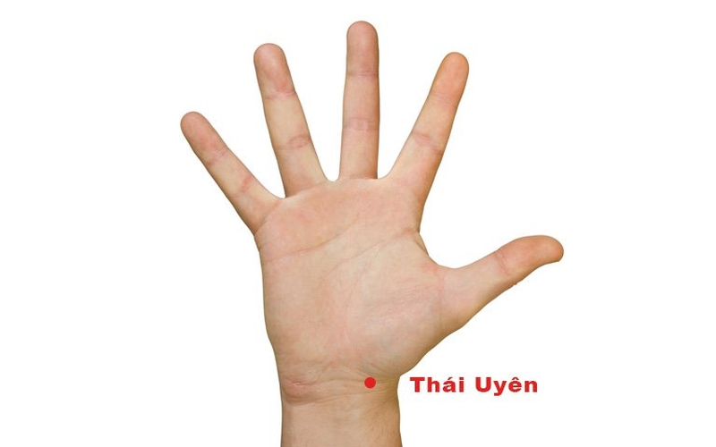 Huyệt thái uyển là huyệt vị thứ 9 của kinh phế