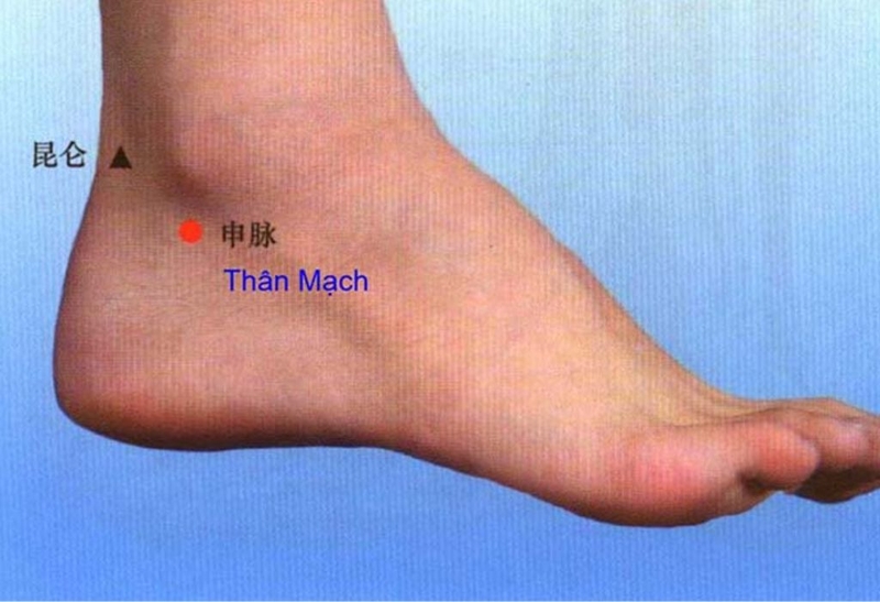 Huyệt thân mạch là huyệt gì? Có lưu ý gì khi bấm huyệt? 2