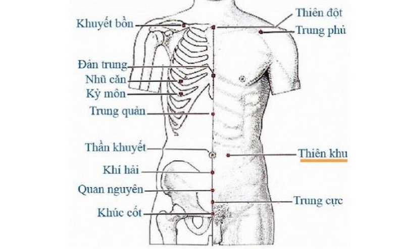 Huyệt Thiên Khu