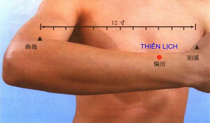 Huyệt Thiên Lịch nằm ở đâu và có những tác dụng gì?