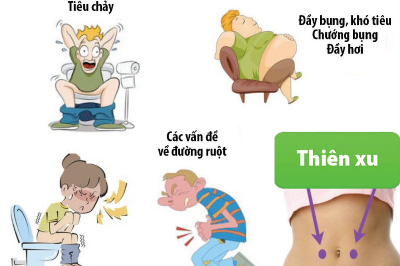 Huyệt Thiên Xu: Vị trí, tác dụng và những lưu ý khi châm cứu 2