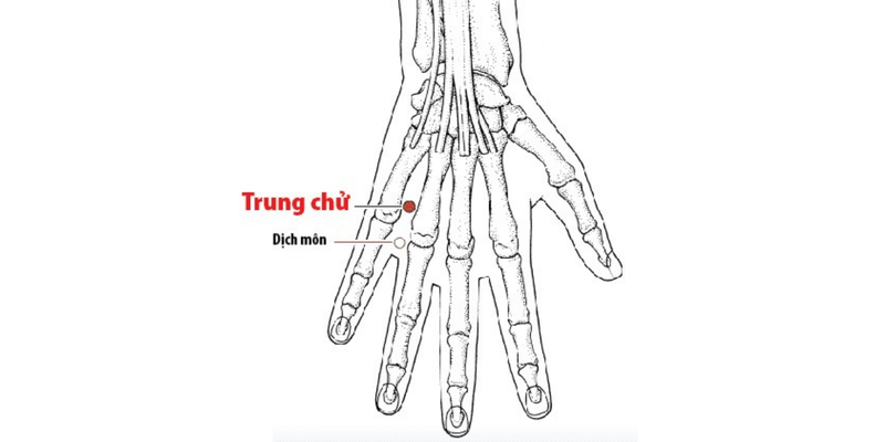 Huyệt trung chữ và những điều cần biết -1