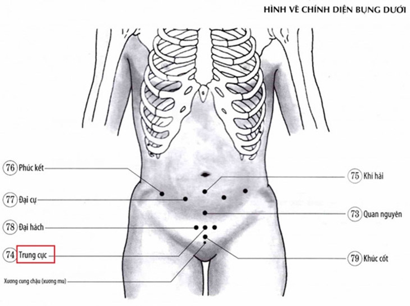 Huyệt trung cực là gì? Huyệt trung cực nằm ở đâu? 1