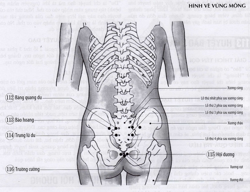 Huyệt Trường Cường nằm ở đâu và có tác dụng gì?1