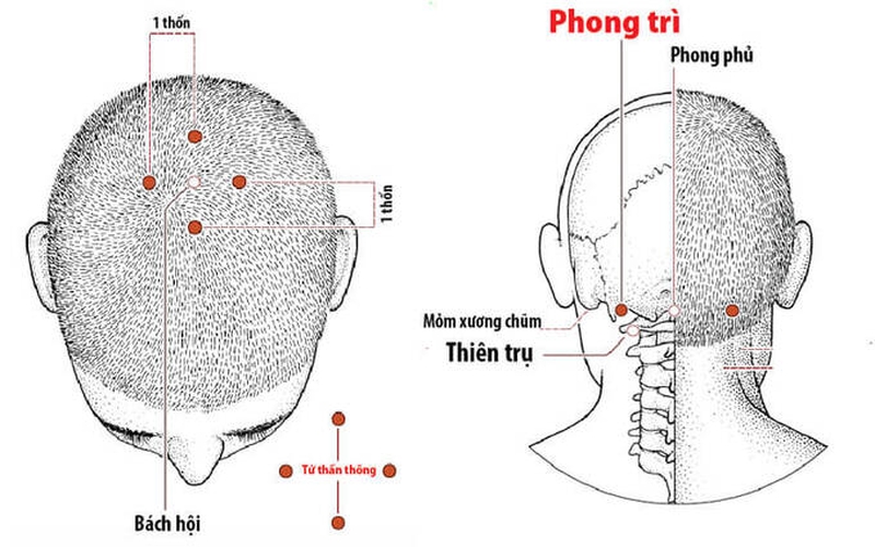 Huyệt Tứ Thần Thông có công dụng gì đối với sức khỏe? 1