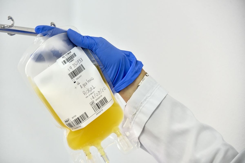 Thành phần trong huyết tương là gì