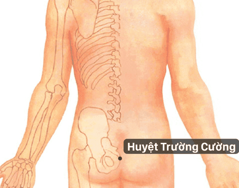 Huyệt Vĩ Lư - Huyệt vị quan trọng không thể bỏ qua! 1
